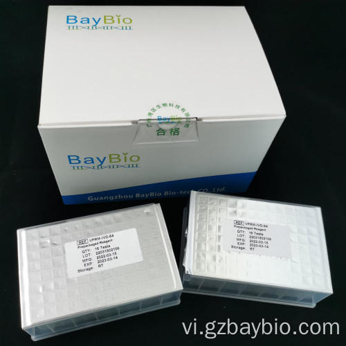 Bộ dụng cụ RNA virus từ tính Baypure